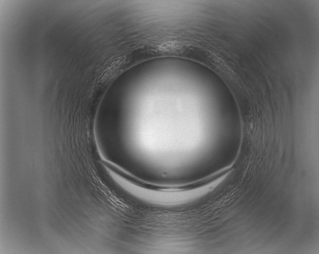 X0000056320593200509161645