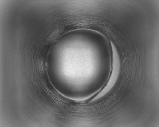 X0000056320597200509161645