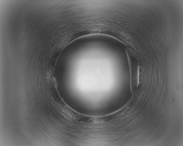 X0000056320601200509161645