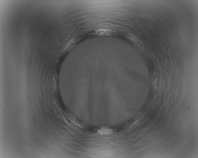 X0000056320603200509161645
