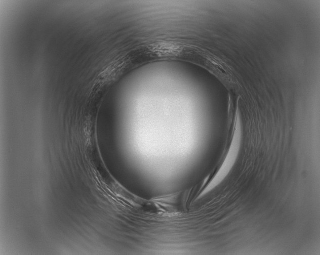 X0000056320604200509161645