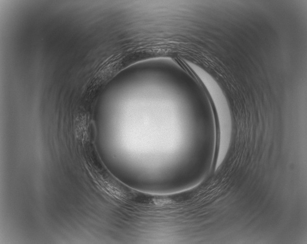 X0000056320605200509161645