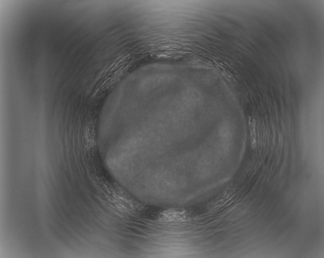 X0000056320606200509161645