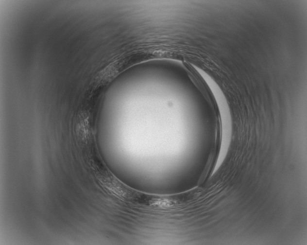 X0000056320611200509161645