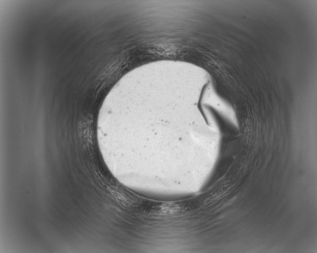 X0000056320612200509161645