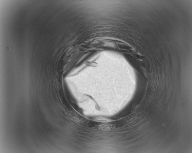 X0000056320615200509161645
