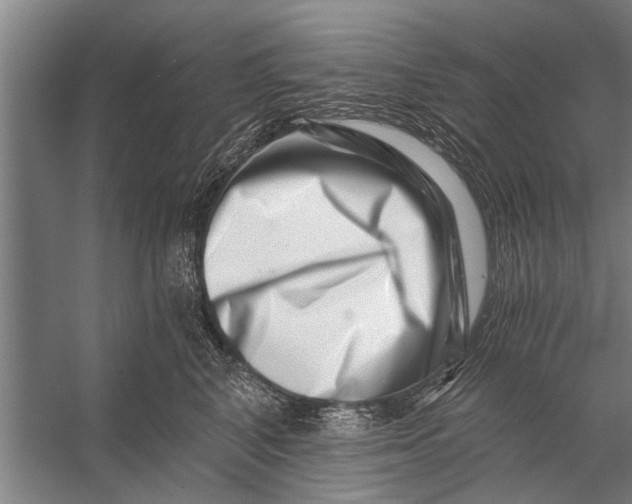 X0000056320616200509161645