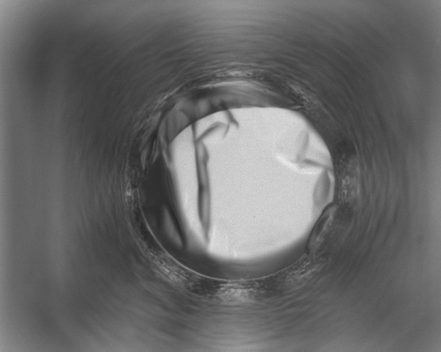 X0000056320620200509161645