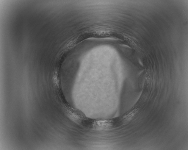 X0000056320622200509161645