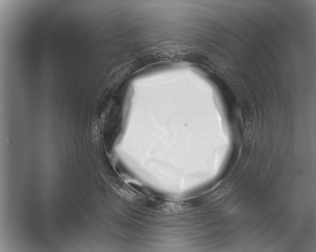X0000056320623200509161645
