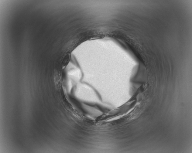 X0000056320624200509161645