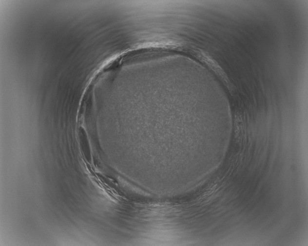 X0000056320628200509161644