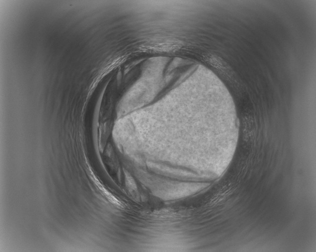 X0000056320634200509161644