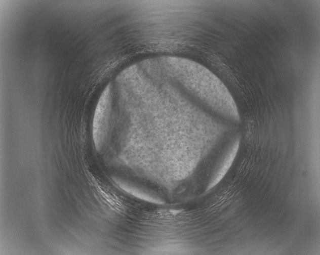 X0000056320636200509161644
