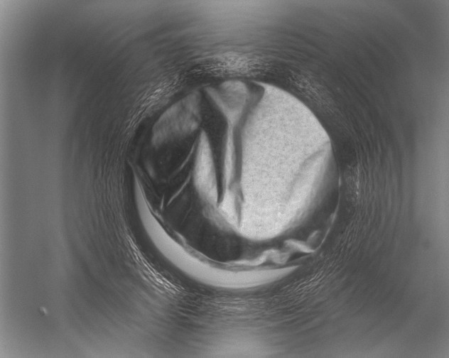 X0000056320642200509161644