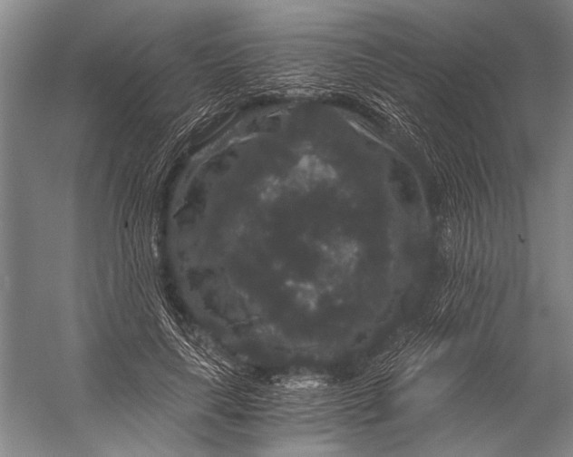 X0000056320643200509161644