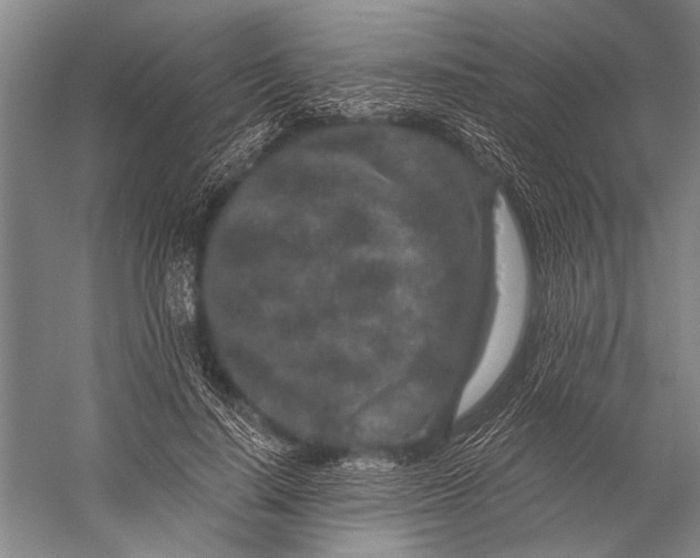 X0000056320644200509161644