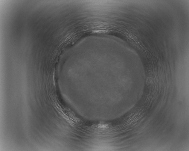 X0000056320647200509161644