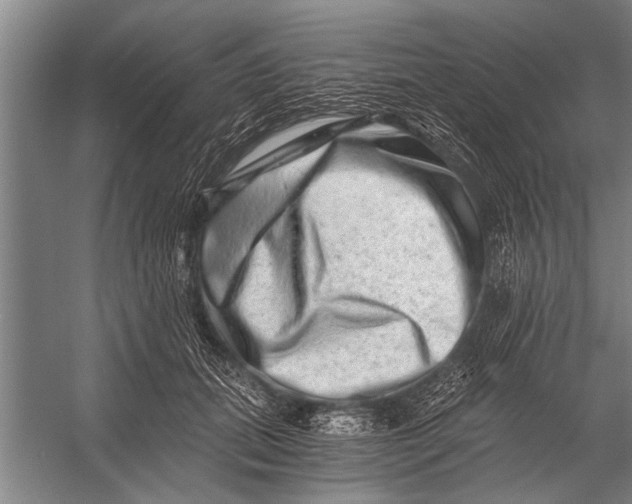 X0000056320655200509161644