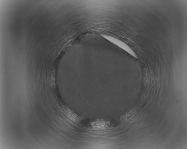 X0000056320661200509161644