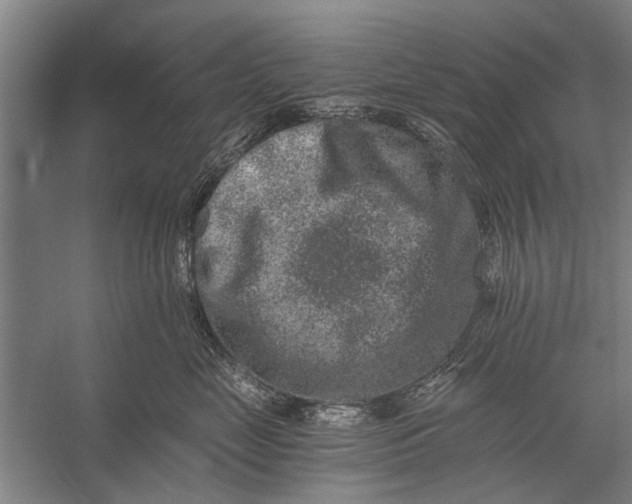 X0000056320669200509161645