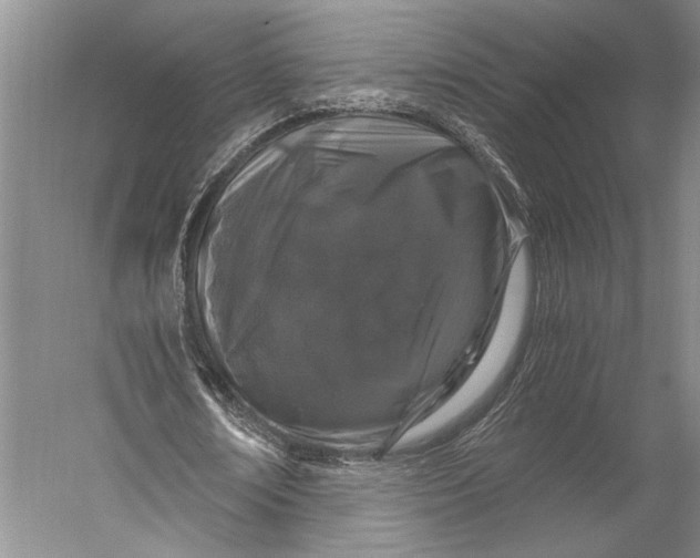 X0000056320674200509161644