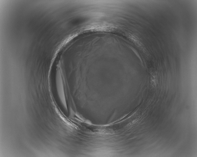 X0000056320678200509161644