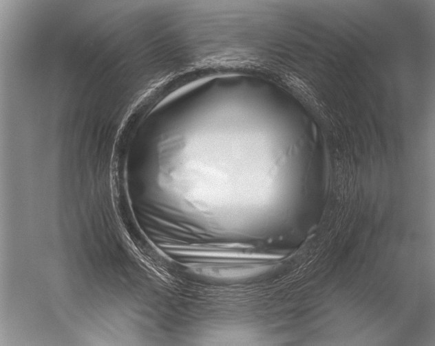 X0000056320680200509161644