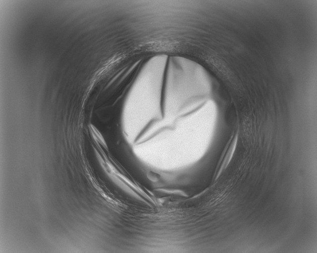X0000056320682200509161644