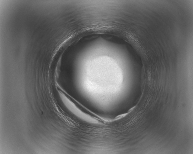X0000056320684200509161644