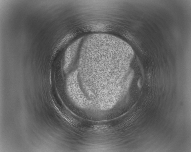 X0000056320686200509161644