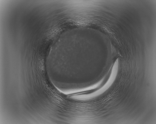 X0000056320689200509161644