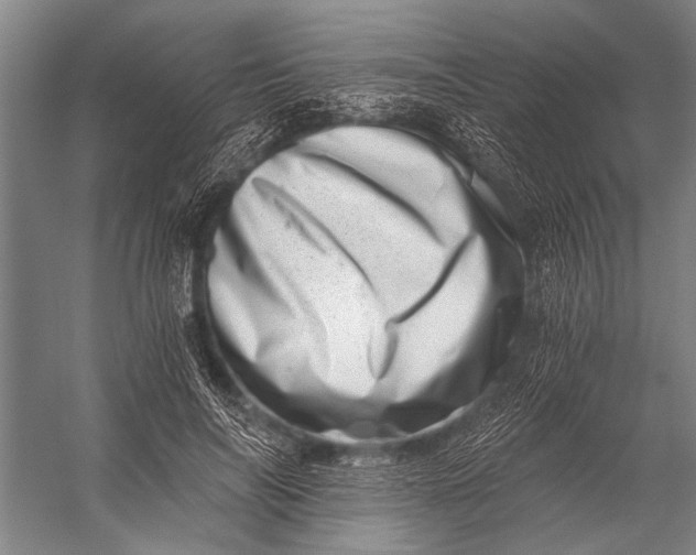 X0000056320694200509161643