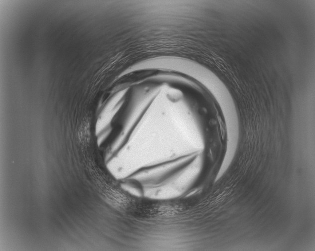 X0000056320697200509161643