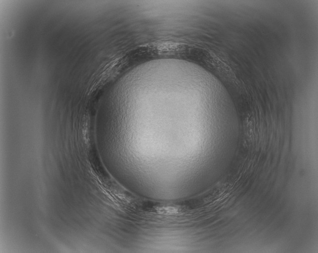 X0000056320698200509161643