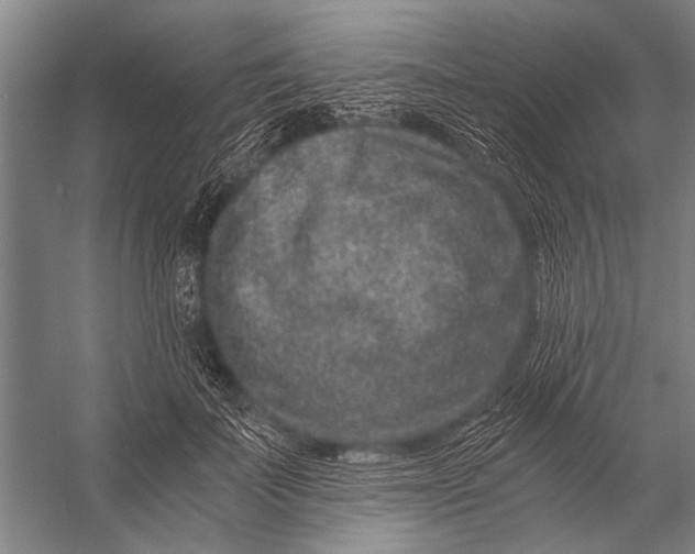 X0000056320699200509161643