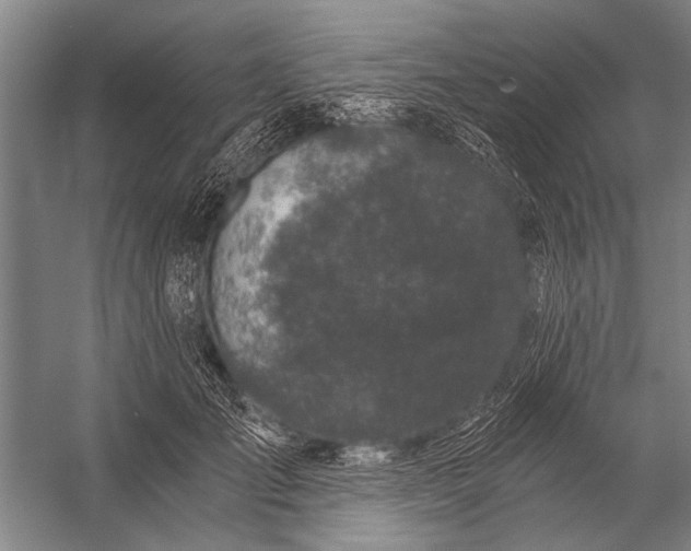 X0000056320701200509161643