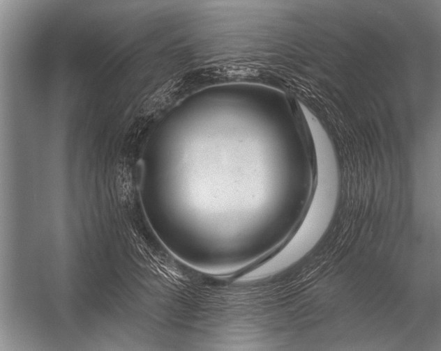 X0000056320704200509161643