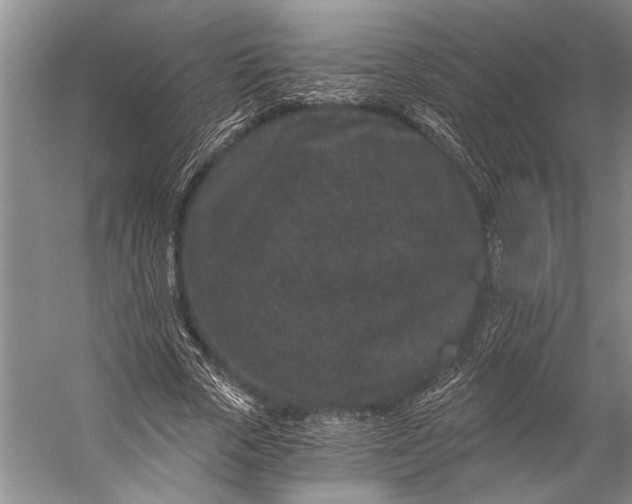 X0000056320729200509161642