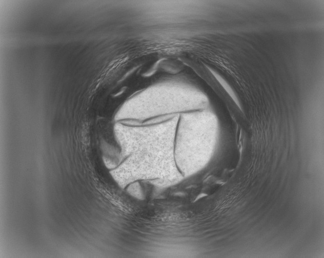 X0000056320738200509161642