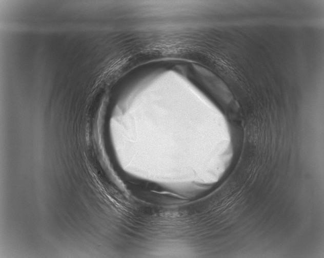 X0000056320740200509161643
