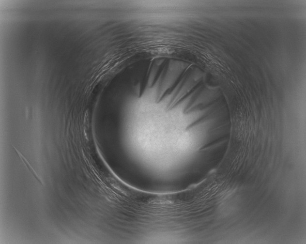 X0000056320747200509161643