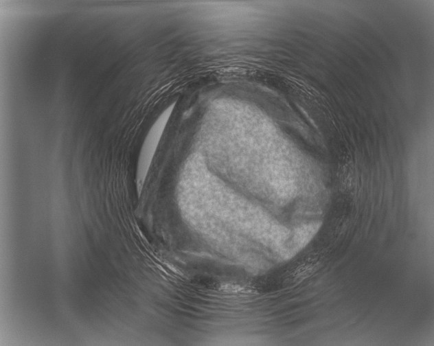 X0000056320753200509161643