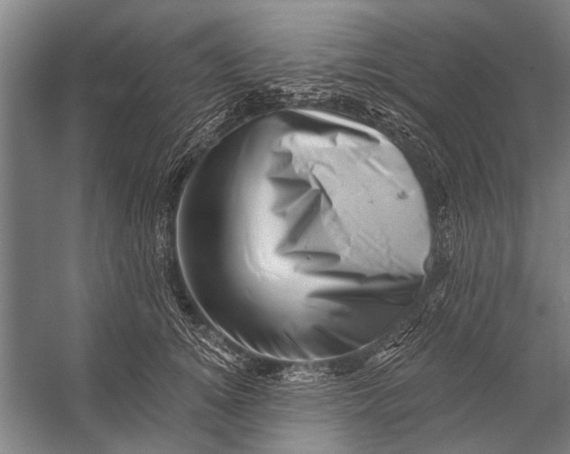 X0000056320756200509161643