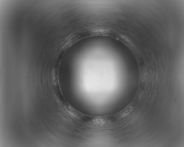 X0000056320764200509161643