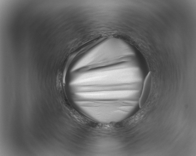 X0000056320768200509161643