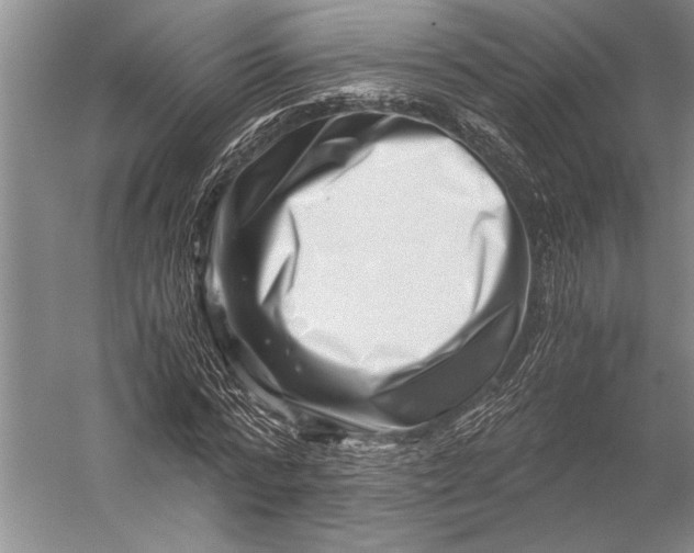 X0000056320776200509161642
