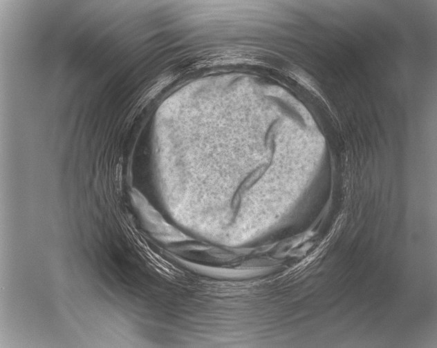 X0000056320777200509161642