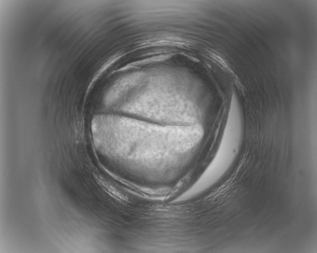 X0000056320780200509161642