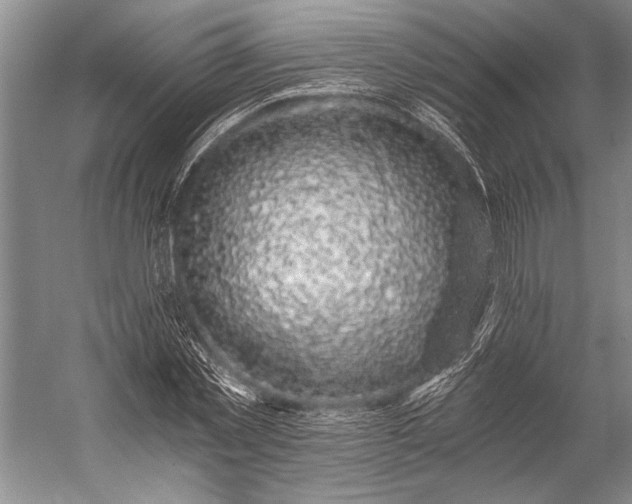 X0000056320781200509161642